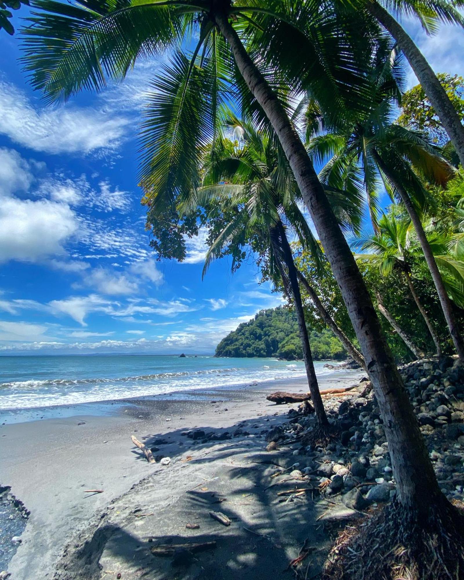 Makanda By The Sea Hotel Adults Only Manuel Antonio Exterior photo