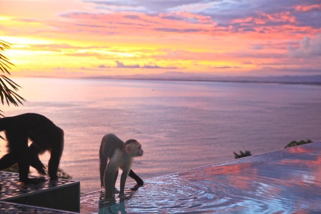 Makanda By The Sea Hotel Adults Only Manuel Antonio Exterior photo